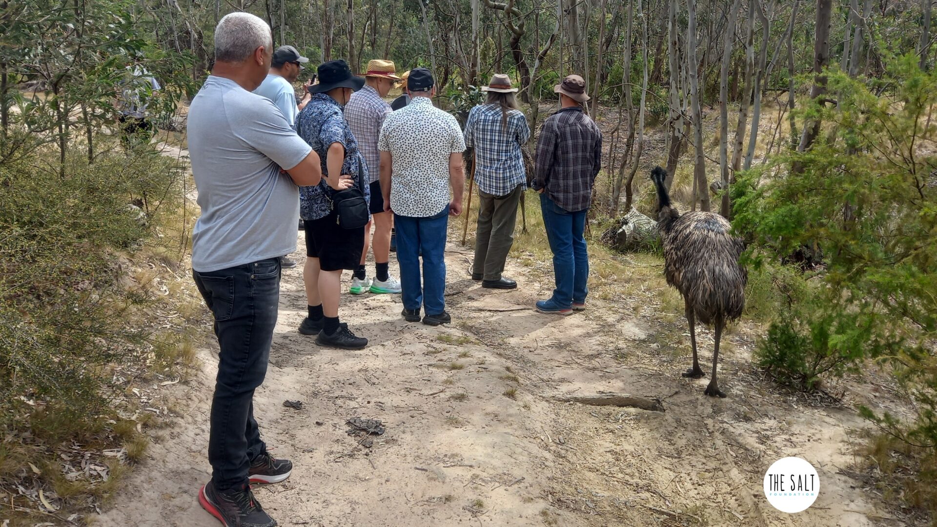 Eco-therapy for SALT Foundation NDIS participants and disability support workers on a tour of La Trobe Wildlife Sanctuary joined by an emu