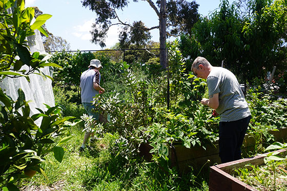 growing confidence along with your plants