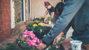 innovative community participation ndis can include gardening with others