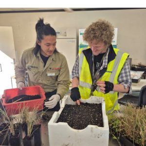 independent living support can mean a mentor coaches a participant in learning how to garden