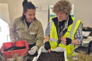 A La Trobe University Nangak Tamboree Wildlife Sanctuary staff member assists a curly-haired SALT Foundation participant wearing a yellow safety vest as they pot native grass seedlings into a tray.
