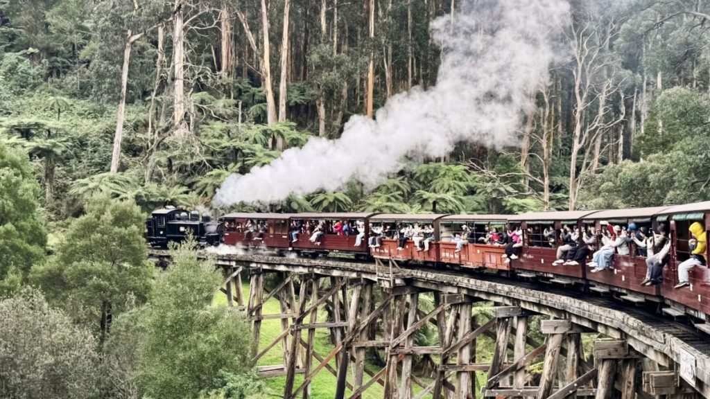 Accessible Family Holidays in Victoria: A Guide for Carers